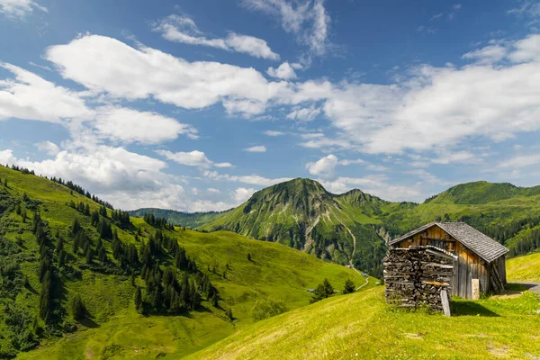 Typisch Alpenlandschap Vroege Zomer Bij Damuls Vorarlberg Oostenrijk — Stockfoto