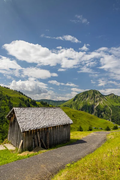 Typowy Alpejski Krajobraz Wczesnym Latem Niedaleko Damuls Vorarlberg Austria — Zdjęcie stockowe