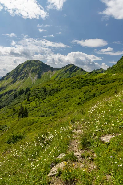 Yaz başında tipik dağlık arazi Damuls, Vorarlberg, Avusturya yakınlarında.