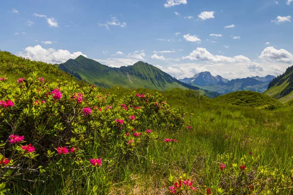 Typická Alpská Krajina Počátku Léta Damulsu Vorarlberg Rakousko — Stock fotografie