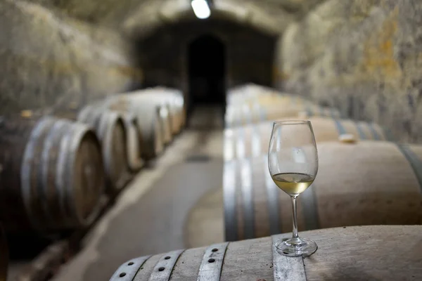 Adegas Com Barris Vinho Tradicional Chamado Bikaver Perto Eger Hungria — Fotografia de Stock