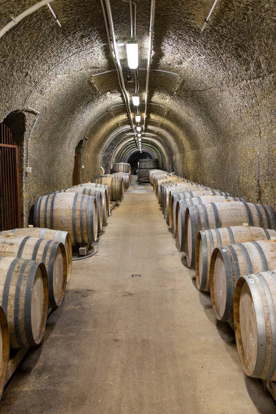 Wine cellars with barrels, traditional wine called Bikaver near Eger, Hungary