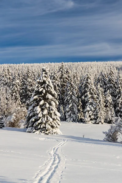 Vinterlandskap Runt Mala Upa Giant Mountains Krkonose Östra Böhmen Tjeckien — Stockfoto