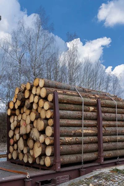 Transport Timmer Järnvägsvagnar — Stockfoto