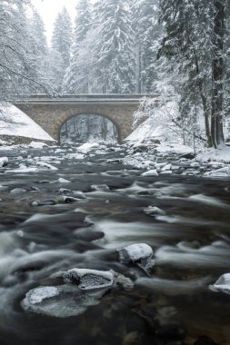 Zemska Brana 'daki Divoka Orlice Nehri, Orlicke Dağları, Doğu Bohemya, Çek Cumhuriyeti