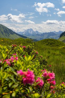 Yaz başında tipik dağlık arazi Damuls, Vorarlberg, Avusturya yakınlarında.