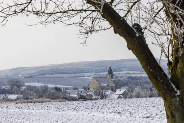 Üzüm bağı olan Hnanice Kilisesi, Znojmo Bölgesi, Güney Moravya, Çek Cumhuriyeti