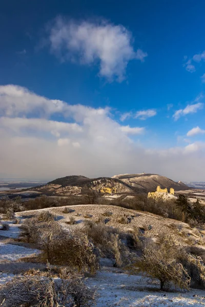Paesaggio Invernale Palava Con Rovine Sirotci Hradek Moravia Meridionale Repubblica — Foto Stock