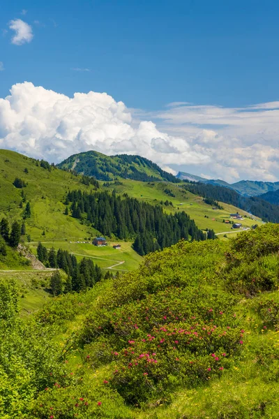 Paisagem Alpina Típica Início Verão Perto Damuls Vorarlberg Áustria — Fotografia de Stock