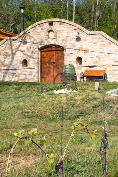 Cantina Regione Palava Moravia Meridionale Repubblica Ceca — Foto Stock