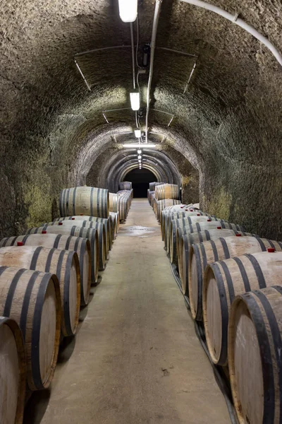 Weinkeller Mit Fässern Traditioneller Wein Namens Bikaver Bei Eger Ungarn — Stockfoto