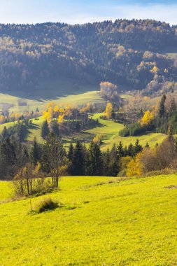 Slovakya 'nın Fatra Dağı' nda sonbahar manzarası