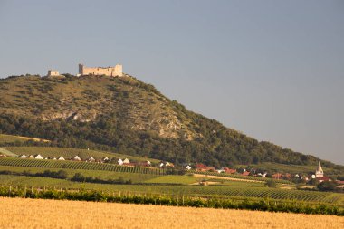 Palava altındaki üzüm bağları, Güney Moravya, Çek Cumhuriyeti