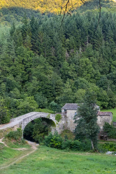 Puente Arco Medieval Giumella Parque Nacional Foreste Casentinesi Campigna Italia — Foto de Stock