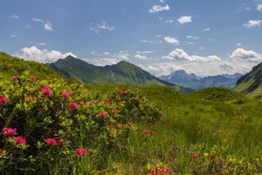 Yaz başında tipik dağlık arazi Damuls, Vorarlberg, Avusturya yakınlarında.