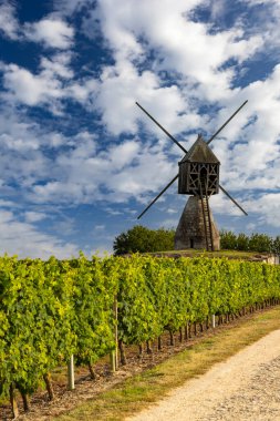 Montsoreau yakınlarındaki La Tranchee ve Vineyard yel değirmeni, Pays de la Loire, Fransa