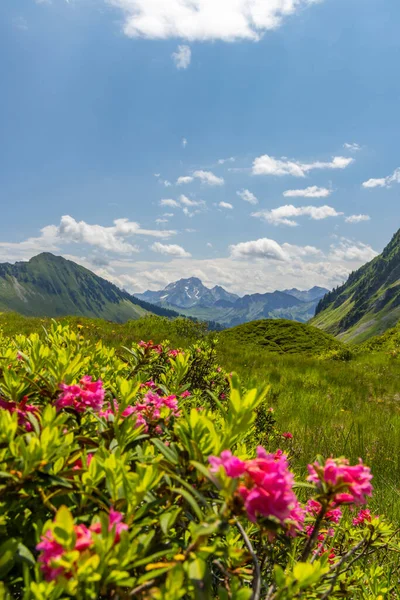 Typical Alpine Landscape Early Summer Damuls Vorarlberg Austria — Stock Photo, Image