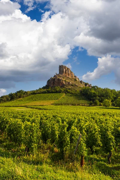 Rock Solutre Med Vingårdar Bourgogne Solutre Pouilly Frankrike — Stockfoto