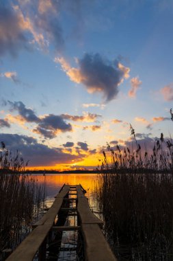 Rezabinec göleti, Güney Bohemya, Çek Cumhuriyeti