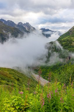Sustenstrasse yakınlarındaki İsviçre Alpleri, Urner Alpleri, Bern Kantonu, İsviçre