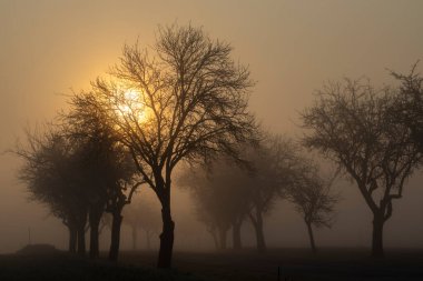 Güney Moravya, Çek Cumhuriyeti, Znojmo yakınlarında gün doğumu