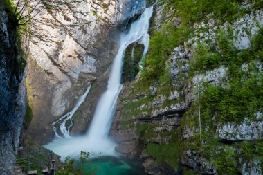 Slovenya 'daki Triglavski ulusal parkında Savica şelalesi