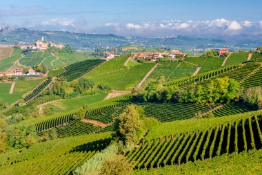 Şato ve köy Castiglione Falletto, Piemonte, İtalya