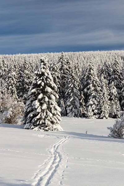Paisaje Invernal Alrededor Mala Upa Montañas Gigantes Krkonose Bohemia Oriental — Foto de Stock