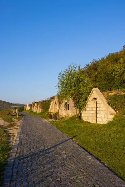 Autumnal Gombos Hegyi Pincesor Hercegkut Unesco Site Great Plain Noord — Stockfoto