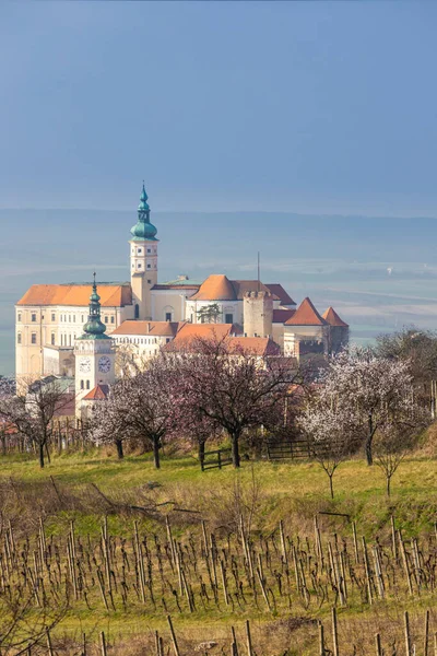 Mikulovs Slott Med Blommande Träd Sydmähren Tjeckien — Stockfoto