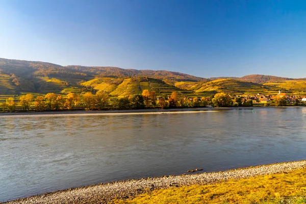 Viñedo Otoño Región Wachau Austria — Foto de Stock