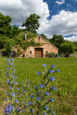 Palava bölgesinde şarap mahzenleri ve üzüm bağları, Güney Moravya, Çek Cumhuriyeti