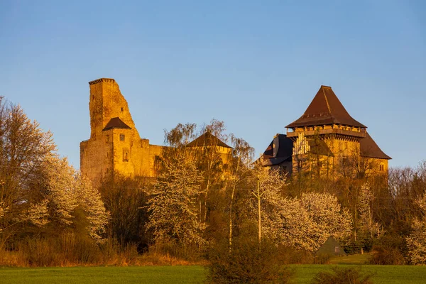 Llipnice Nad Sazavou Castle Vysocina Region Czech Republic — стокове фото