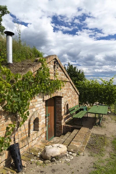 Palava地域 南モラヴィア チェコ共和国のワインセラーとブドウ畑 — ストック写真