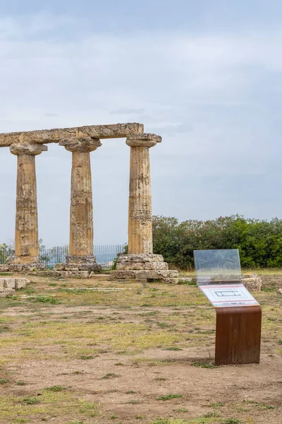 Świątynia Hery Wieku Pne Stanowisko Archeologiczne Pobliżu Bernalda Włochy — Zdjęcie stockowe