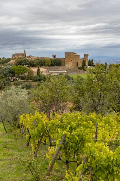 Toskania Najsłynniejszych Winnic Pobliżu Miasta Montalcino Włoszech — Zdjęcie stockowe