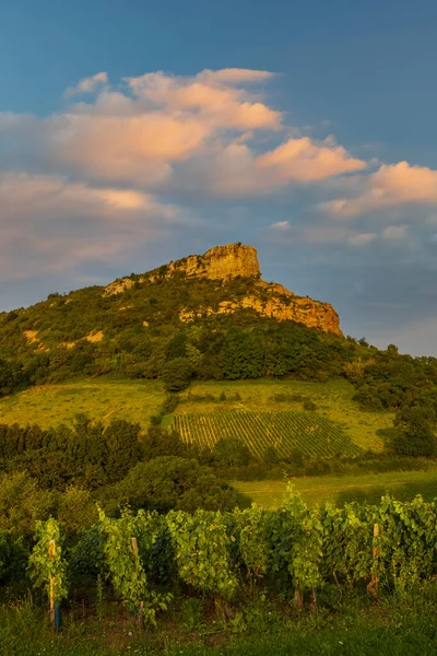 Rock Solutre Vineyards Burgundy Solutre Pouilly France — Stock Photo, Image