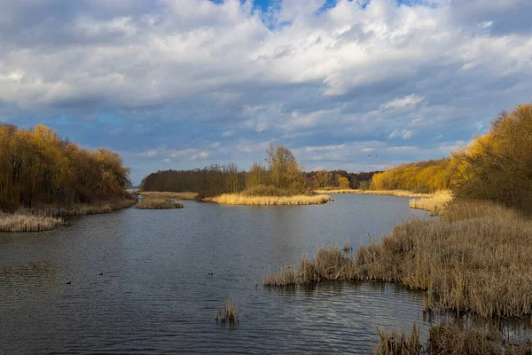 Reserva Natural Balaton Felvideki Kis Balaton Transdanubia Hungría —  Fotos de Stock