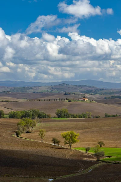 Типичный Тосканский Пейзаж Рядом Сиеной Тоскана Италия — стоковое фото