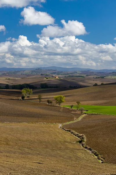 Paysage Toscan Typique Près Sienne Toscane Italie — Photo