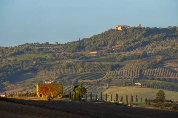 Typical Tuscan Morning Autumn Landscape Val Orcia Tuscany Italy — Stock Photo, Image