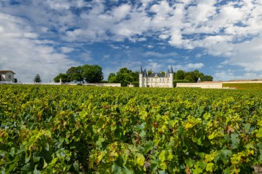Şato Pichon Longueville Baron, Medoc, Fransa