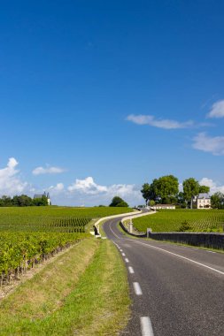 Chateau Pichon Longueville yakınlarındaki tipik üzüm bağları Kontes de Lalande, Bordeaux, Aquitaine, Fransa