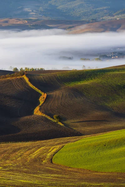 Typisk Toskansk Morgon Höstlandskap Val Orcia Toscana Italien — Stockfoto