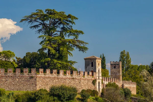 Castello Castellaro Lagusello Sítio Unesco Região Lombardia Itália — Fotografia de Stock