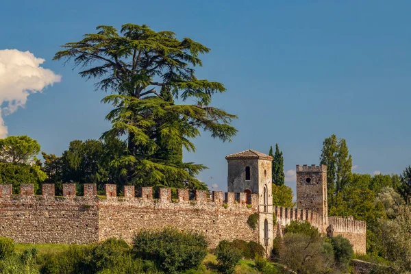 Castello Castellaro Lagusello Sito Unesco Regione Lombardia Italia — Foto Stock