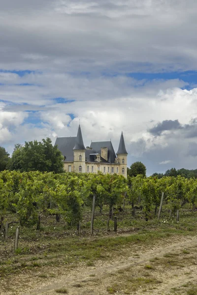 Şato Pichon Longueville Baron Medoc Fransa — Stok fotoğraf