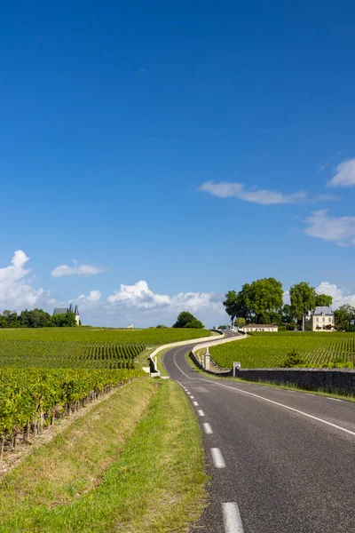 Chateau Pichon Longueville Yakınlarındaki Tipik Üzüm Bağları Kontes Lalande Bordeaux — Stok fotoğraf