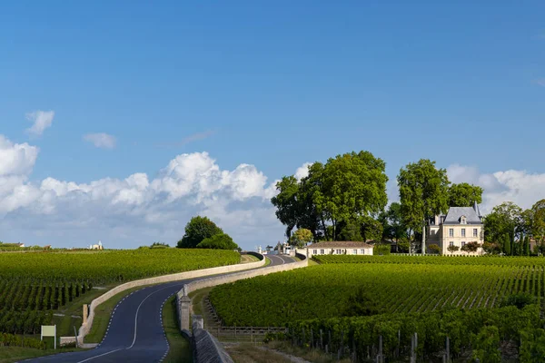 法国阿基坦 波尔多 拉朗德伯爵堡附近典型的葡萄园 — 图库照片
