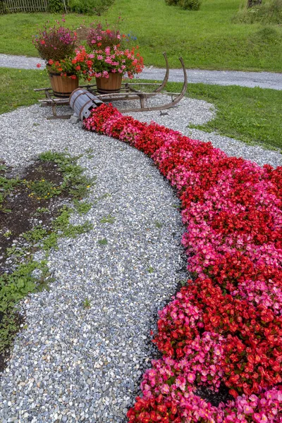 瑞士阿尔卑斯山农村花卉装饰 — 图库照片